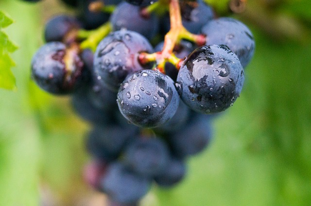 grape640