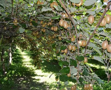gallery-campagna-5