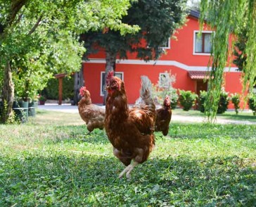 gallery-campagna-7