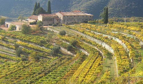 città di verona