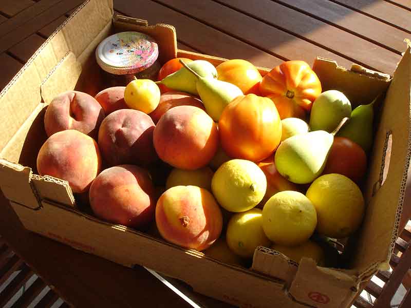 azienda grande ok