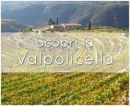 scopri la valpolicella